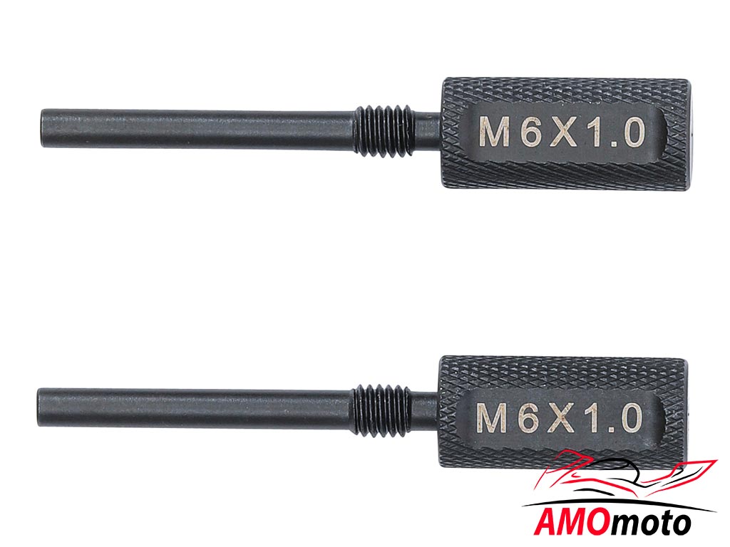 Camshaft Locking Pin Set M6x1