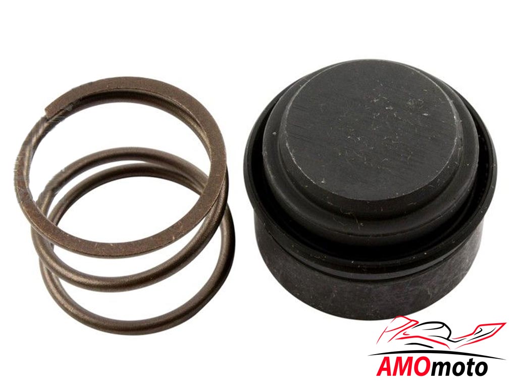 Repair Kit Clutch Slave Cylinder 19520023B